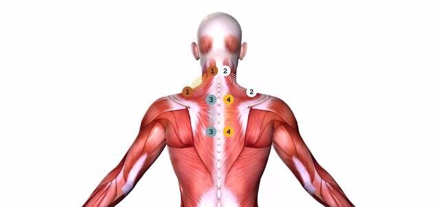 RSMedical's tweet image. Learn how the combination of #premodulated #interferential stimulation and high-frequency signals allow the RS-4i® Plus to treat #ChronicPain thoroughly and comprehensively. bit.ly/2EhqNpN #Veteran #Veterans #Relief #Recovery #PainManagement