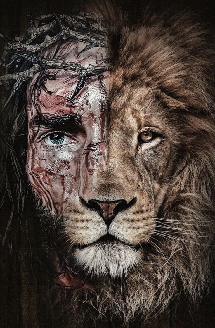 Dia e noite, noite e dia, sem cessar até que ele venha! 🧡