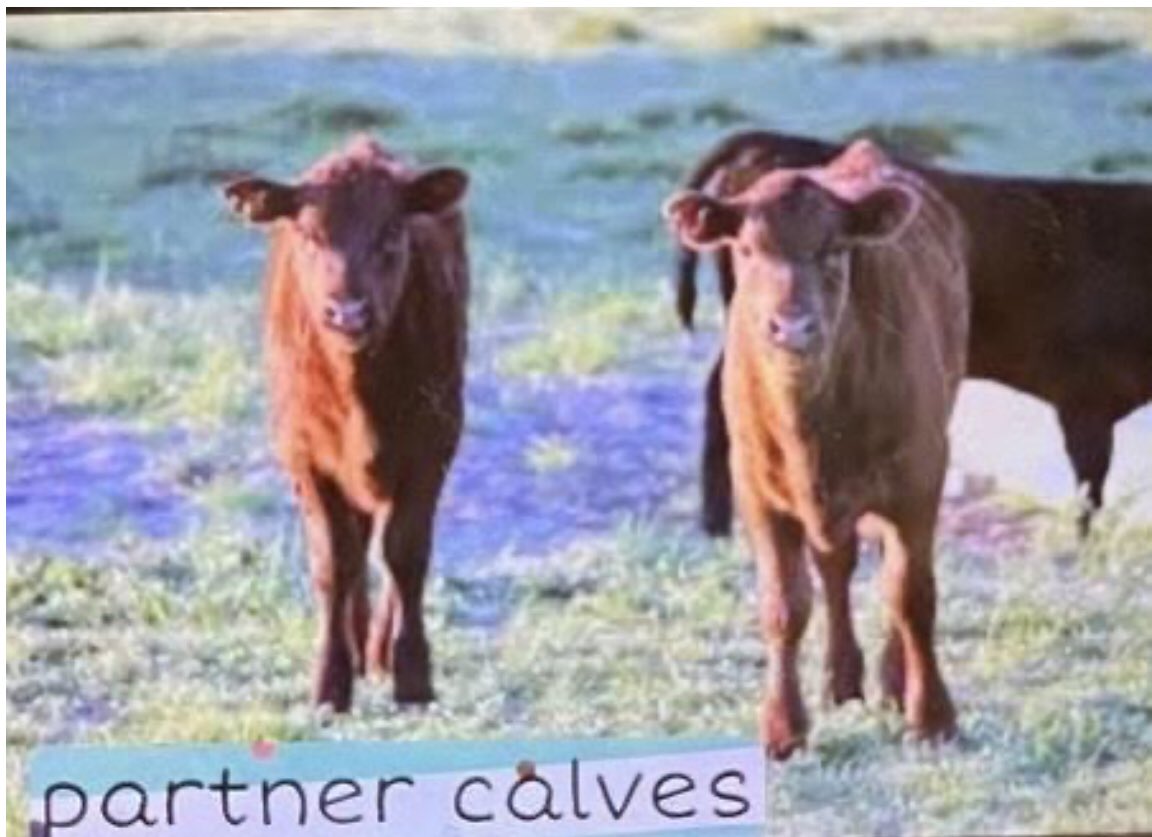 Find out the show theme on Wednesday!!