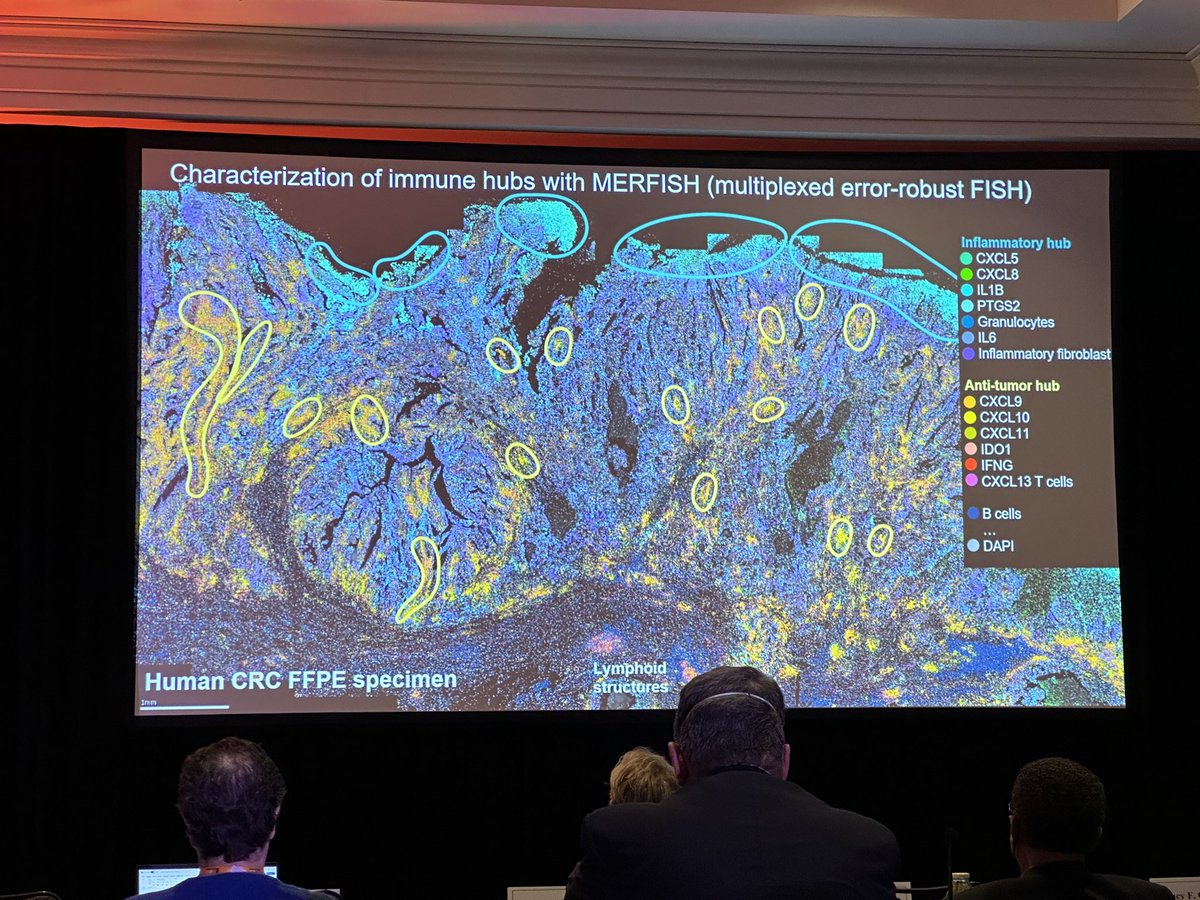 Bernard A Fox tweet media