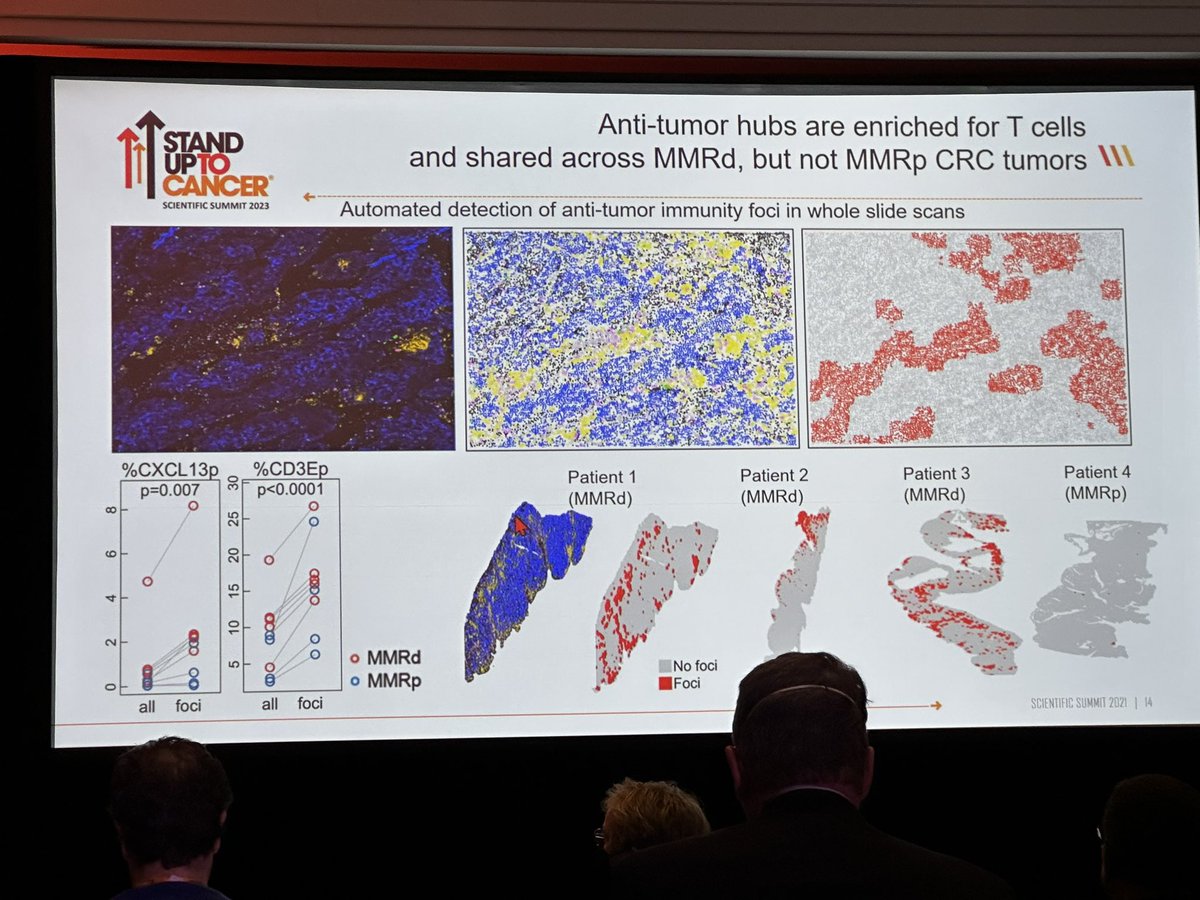 Bernard A Fox tweet media