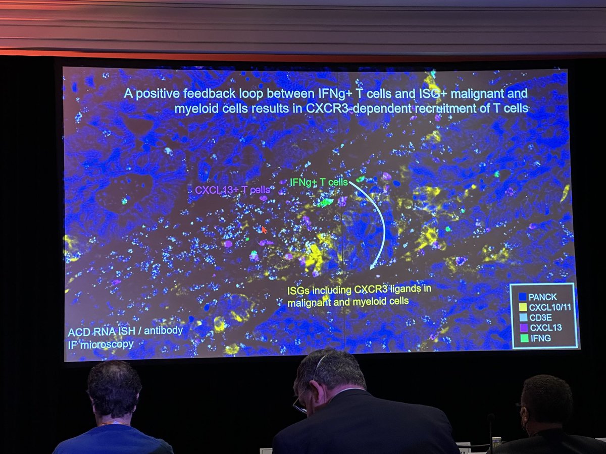 Bernard A Fox tweet media