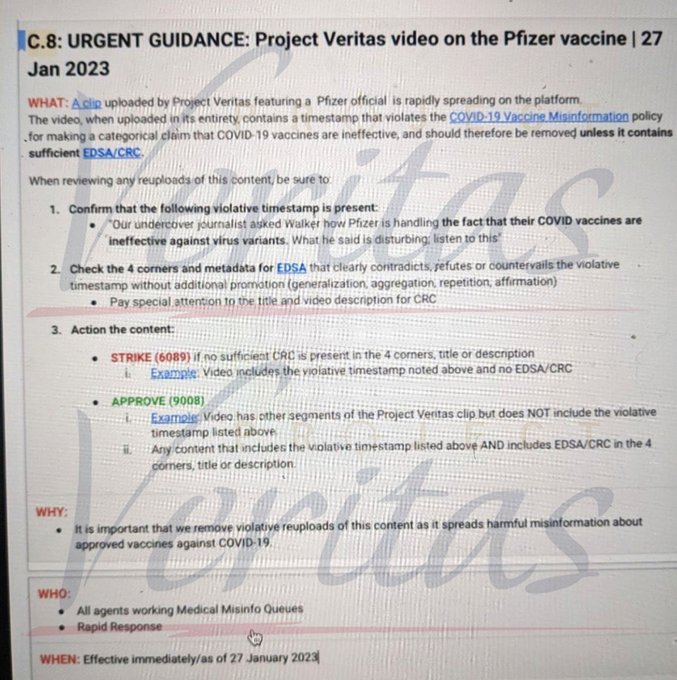 YouTube Insider Leaks “Urgent Guidance” Doc Sent to Employees on How to Handle Project Veritas’ Bombshell Pfizer Video FnwYG3RXkAA1Jaa?format=jpg&name=small