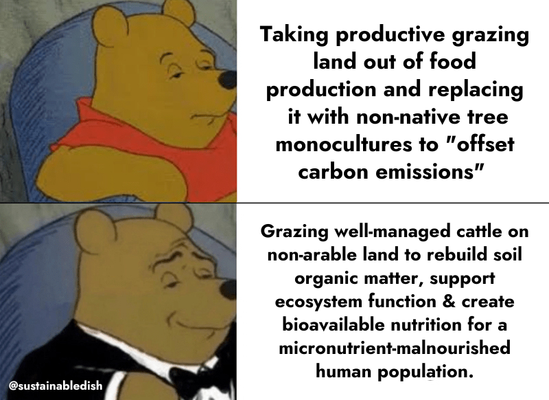 SustainableDish's tweet photo. Taking productive grazing land and converting it to monoculture tree plantations is NOT the way to tackle a changing climate. Nor is reducing or eliminating ruminant animal agriculture—which can increase biodiversity while nourishing humans &amp; supporting rural economics. https://t.co/7kdl4aQCMy