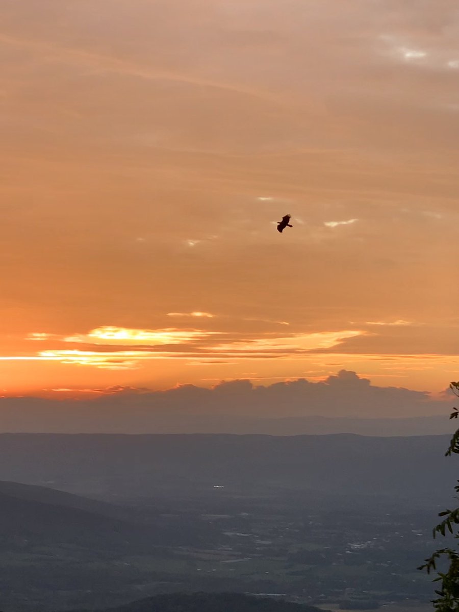 liz_july4th's tweet image. GOOD EVENING! #Sunset #ShenandoahValley