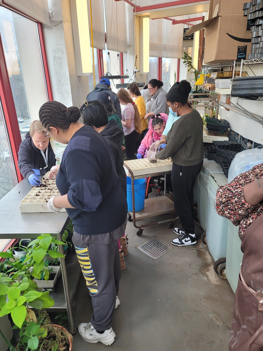 SustainableCSI's tweet photo. Thank you to those who participated in @collegeofstatenisland Planting Seeds Event.
#collegeofstatenisland
#csisustainability
#planting https://t.co/DT50UkFGAT