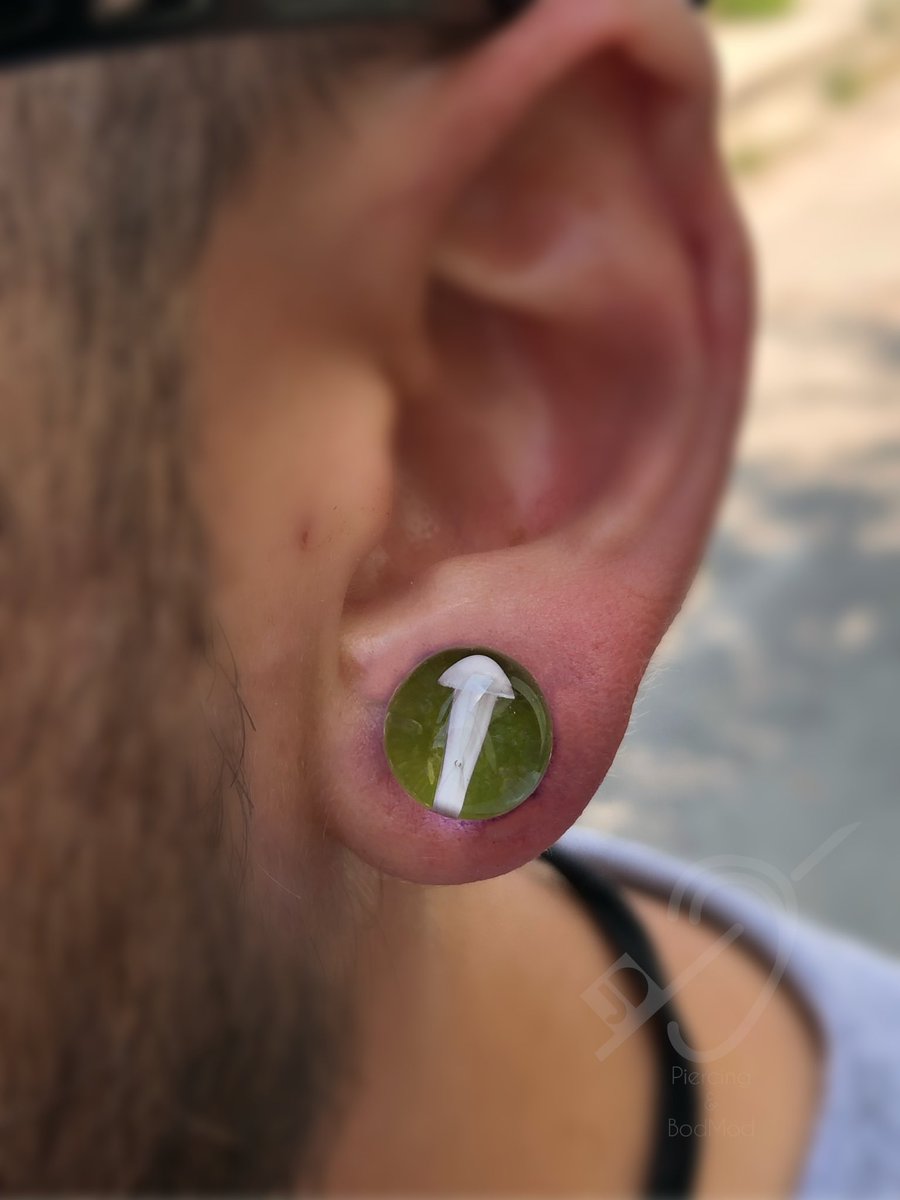DavidReifert's tweet photo. #stretchedear expansiones realizadas con joyería de Hongos 🍄 hace unos meses utilizando 
Gorilla Glass de 8mm #bigear #biglobe #earmodification #gorillaglassjewelry #finejewelry #earplugs #pyrexjewelry #safepiercing https://t.co/6QbGajYTa1