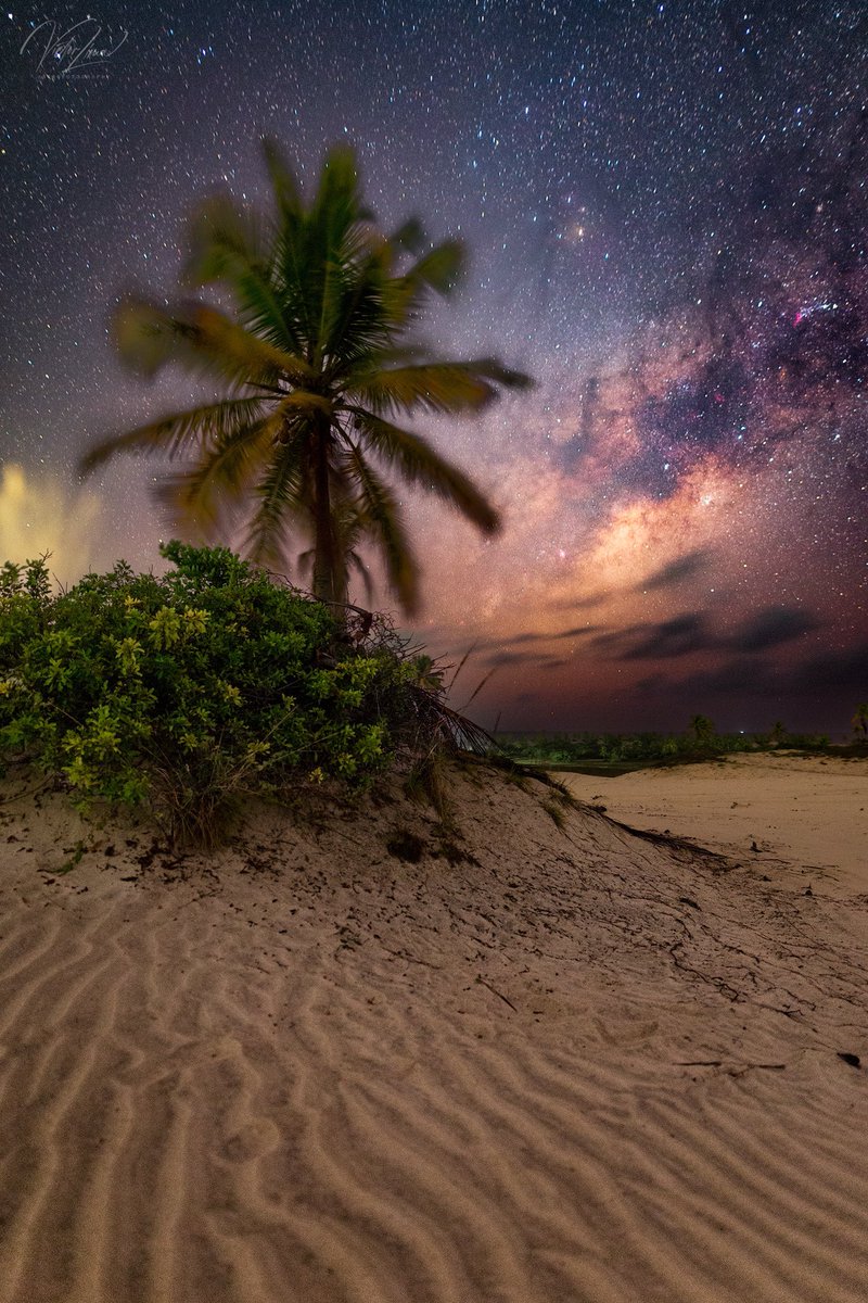 The Mangue Seco dunes, located in Bahia/Brazil, are even more beautiful at night when the Milky Way cloud appears on the horizon and borders the beautiful coconut trees that adorn the tropical landscape of the region.
Exif:
25 sec / f/1.8 / ISO 2500