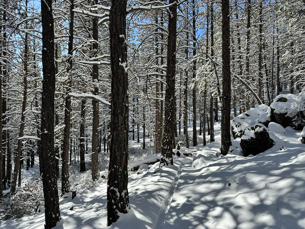 Goldeen "Rhondi" Ogawa tweet media