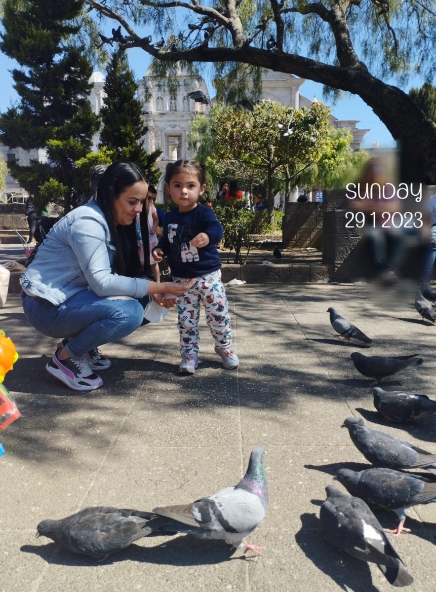 AnelCaTo's tweet photo. Así la pasamos ayer!!!
#parqueando #xela #mi_bebé #palomas https://t.co/S1jwwT9zk6