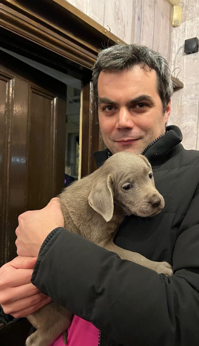 Damian Low tweet media