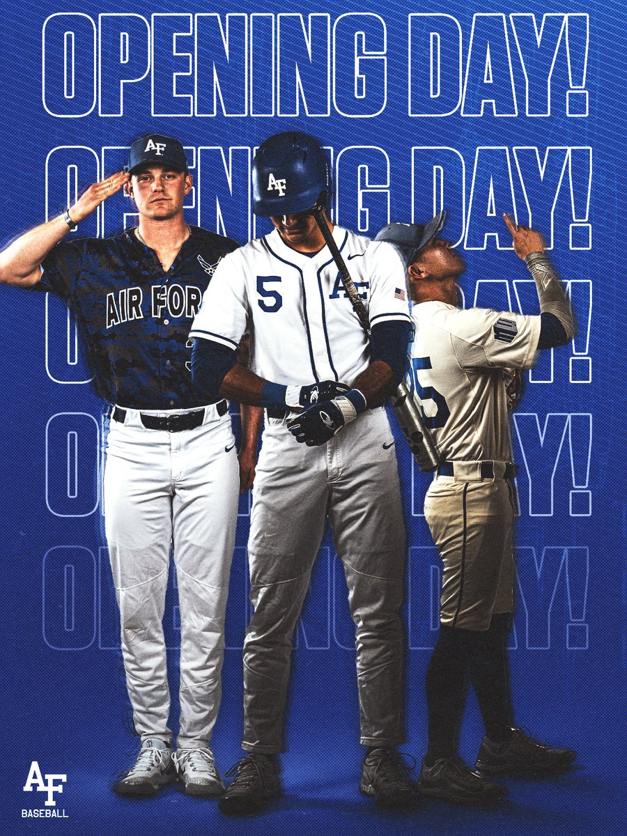 Air Force Baseball tweet media