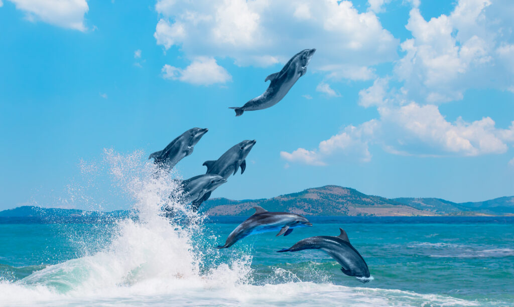 MinervaSQL's tweet image. zcu.io/sU6N How partition pruning improved with MySQL 8?  #MySQL8 #MySQLDBA #MySQL8Performance