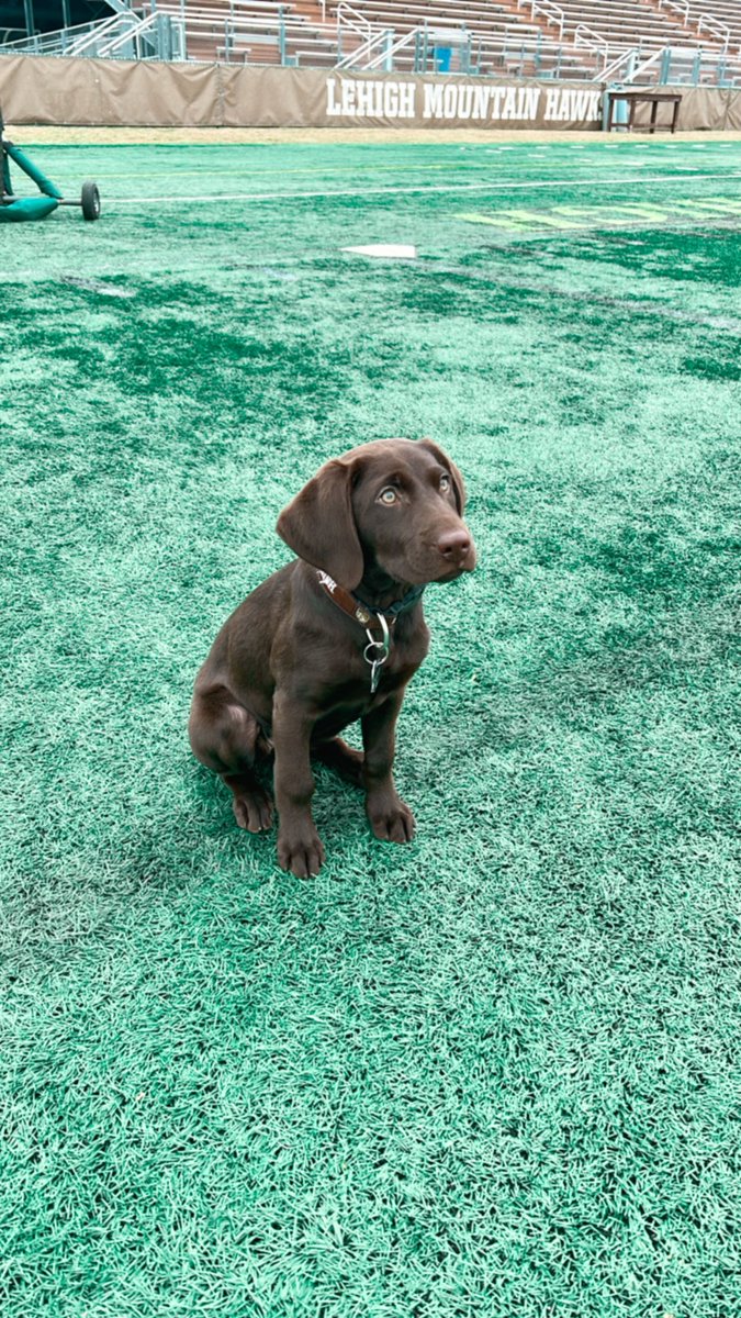 puppy breaks are always welcomed!!!