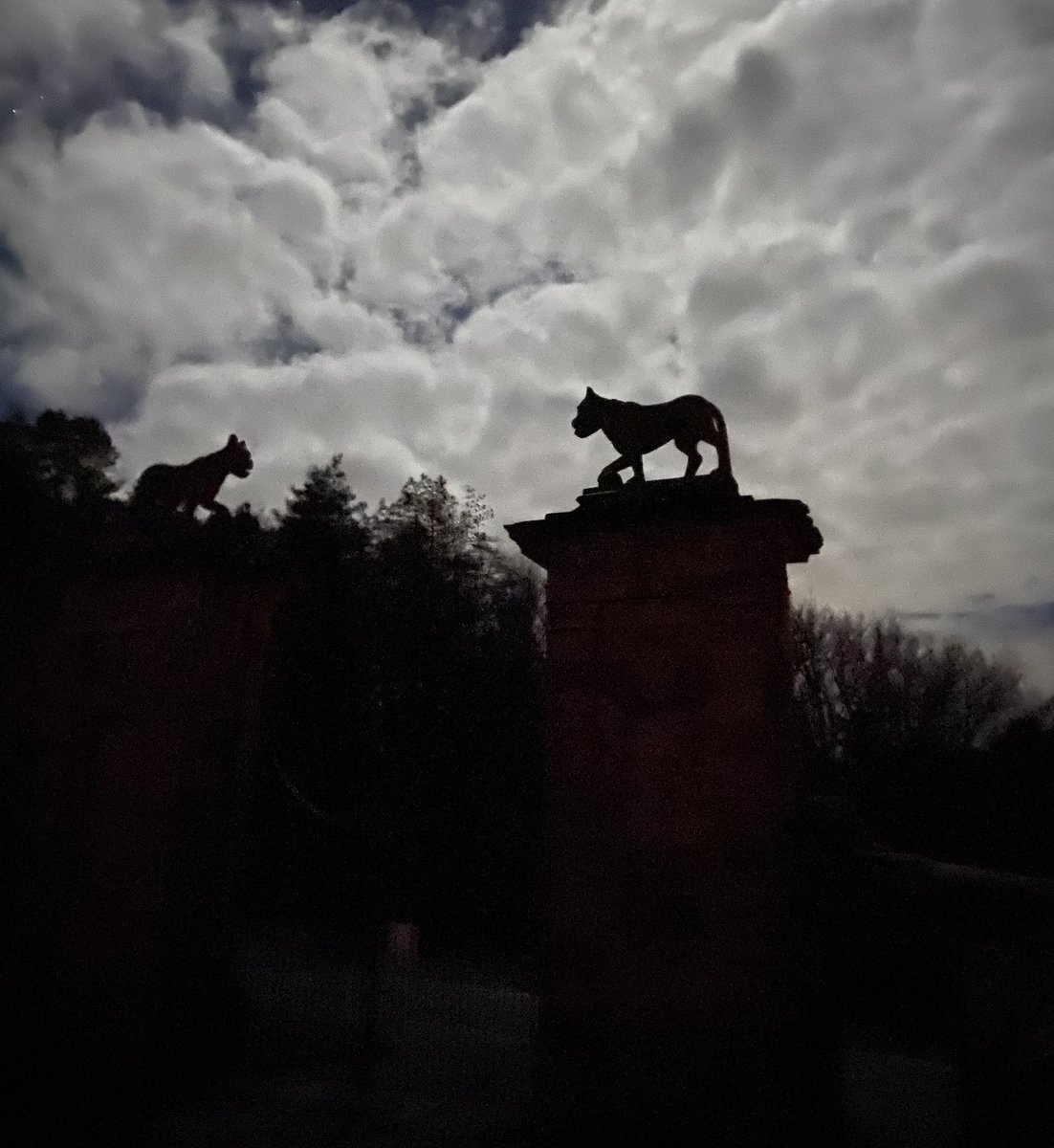 YIMBoyle's tweet photo. Night walk at Downhill Demesne & Mussendun Temple. #SpacetoWrite #poetry #Causeway https://t.co/Mc2C40Ygaz