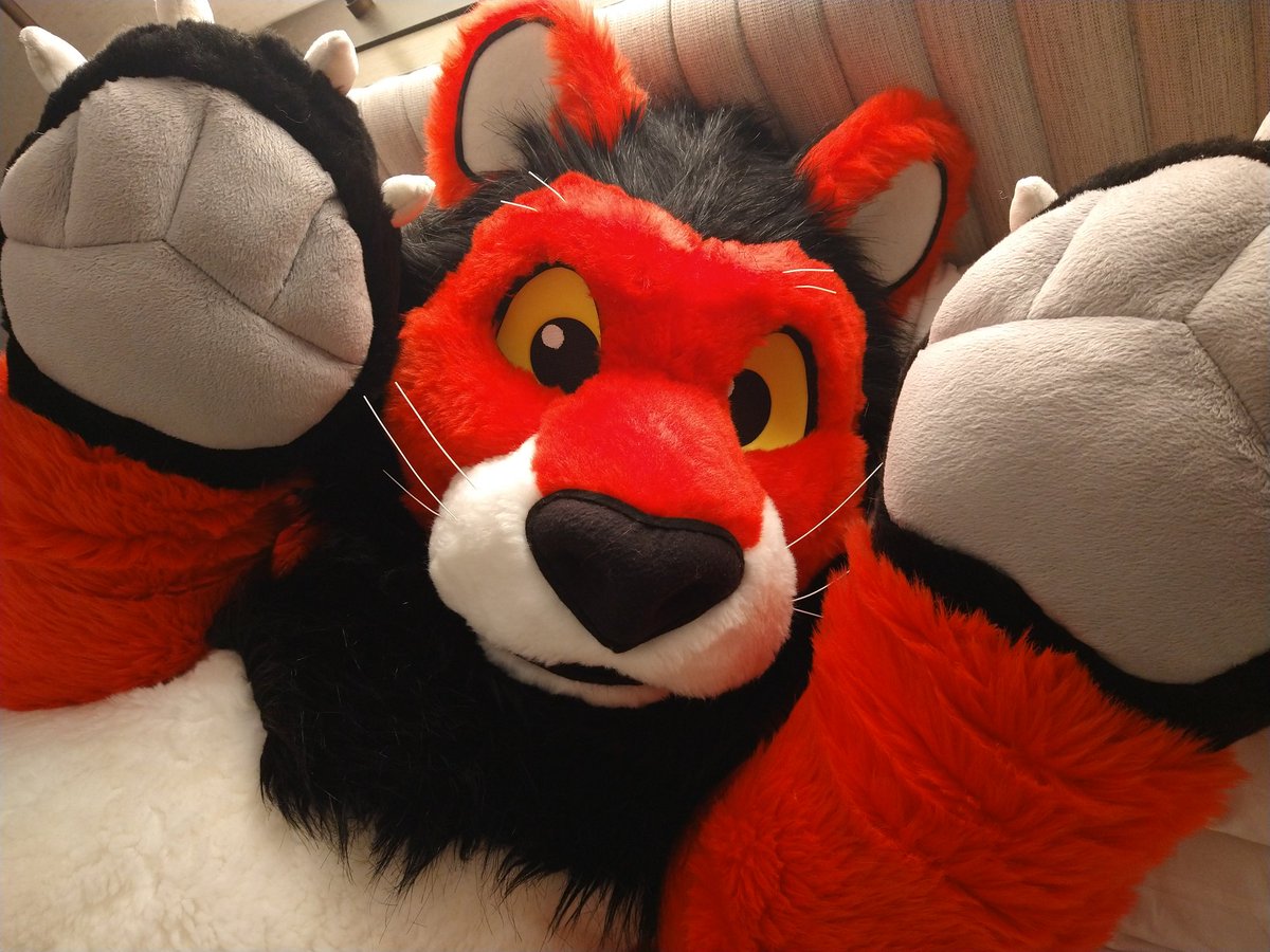 SolarPlush's tweet photo. Rawr! I'm officially going to Fur Squared 2023 - if any mutuals are interested in rooming together, I'm certainly looking. ❤️❤️❤️ https://t.co/NEQPcGp5ah