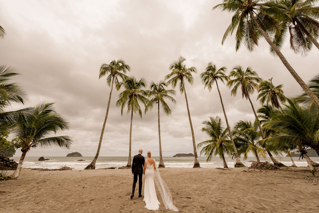 Palm tree studded shoreline. 
•
•
•
Photographer: @sylviaguardia_photography #destinationweddings #luxuryweddingplanner #costaricaweddings #costaricaweddingplanner #destinationweddingphotos #destinationweddingplanner #beachwedding #luxurywedding #destinationweddingvenue #de