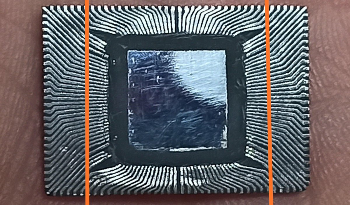 Redherring32 tweet media