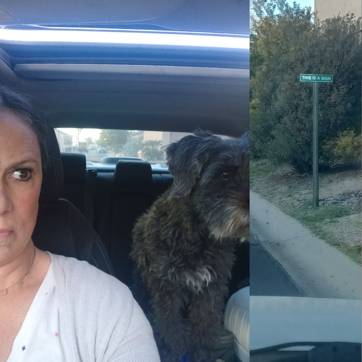 FalconSays's tweet image. Dear Lord, give us a sign. 
Seriously though, why did I just see this random sign in a neighborhood? #weirdsign