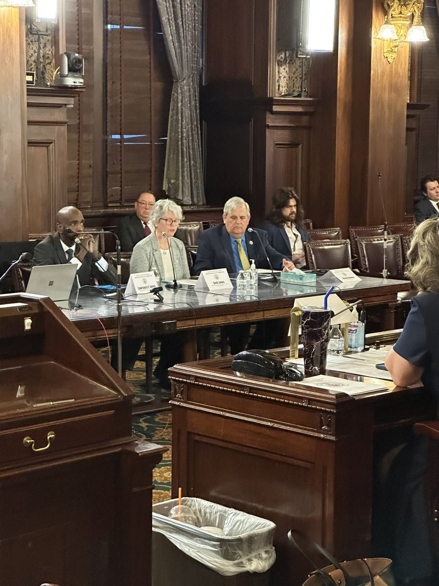 dranneclark1234's tweet image. Today a group of school leaders and supporters spoke with the House Replubican Policy Committee. Thank you Michael Whisman, Beth Jones, Larry Jones, and Brian Hayden. #pacharters #schoolchoiceweek #PAHouse #PASenate #PACharters2023 #parentschoice