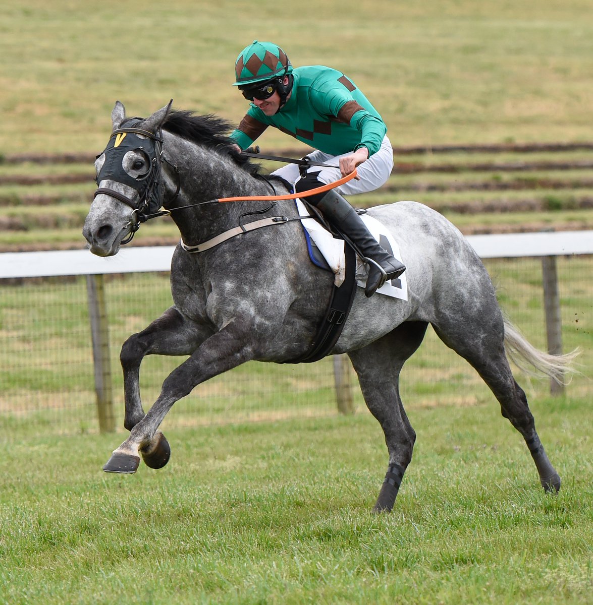 Georgia Steeplechase tweet media
