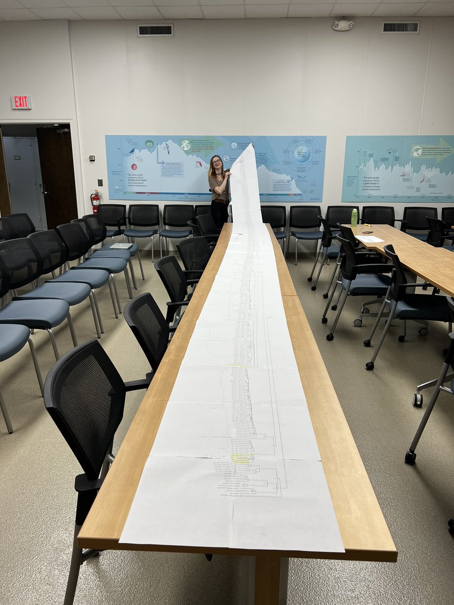 GrantGodden's tweet photo. Today @ncellinese and I rolled out the first phylogenomic results for our collaborative project on North American Lobelia. Exciting stuff! But can you believe we are still taping pages together to visualize large trees in 2023? https://t.co/33ruYsVQEU