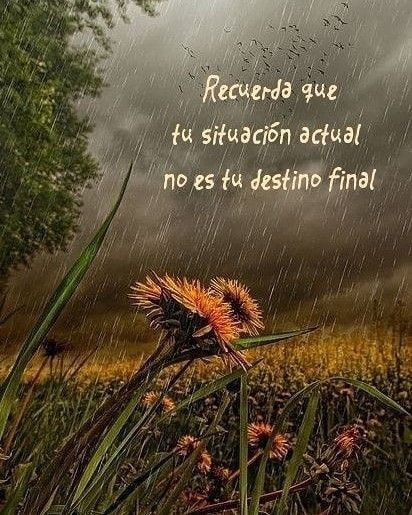 somosunicos01's tweet photo. No es tu destino final 😎 https://t.co/RHWAnnbX9Q