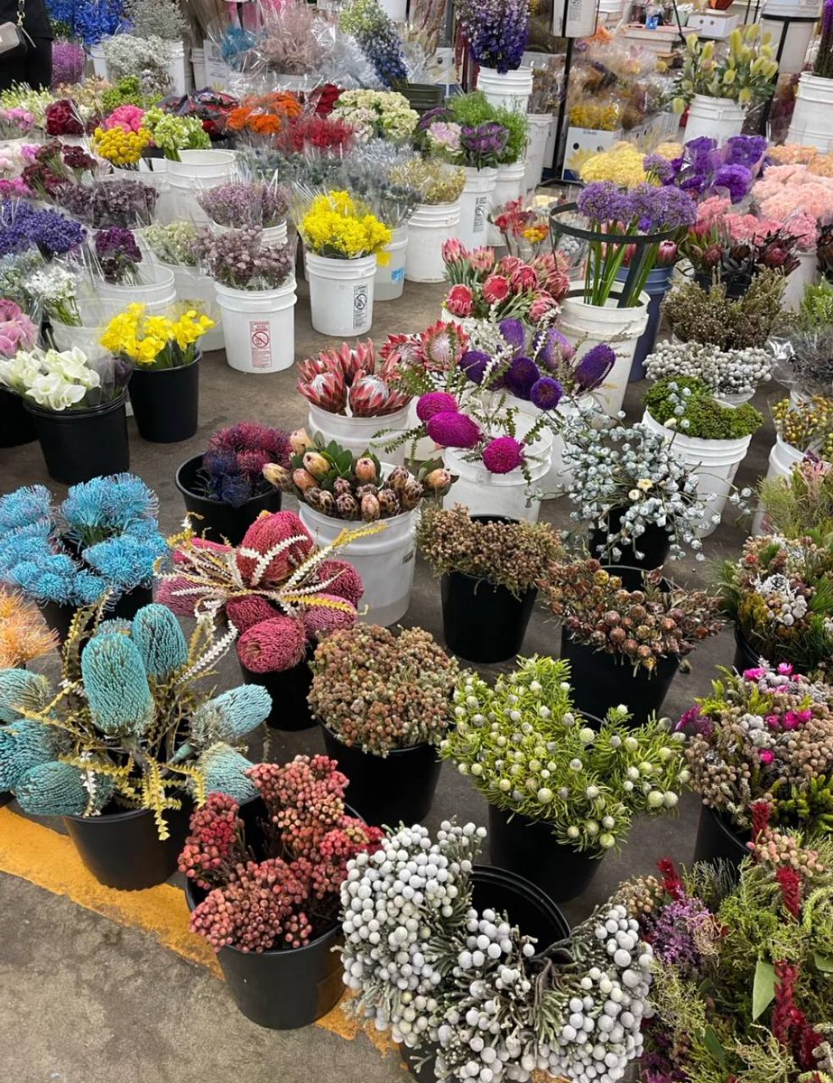 Chocolate9986's tweet photo. I found you a garden. If you like flowers, you can come here. There are many varieties and the flowers are still fresh. You are free to match them. You can also ask the boss to match you. it's great.Address: 754 Wall Street Los Angeles CA 90014 #cutflowers #importedflowers https://t.co/FcXs3SkGty