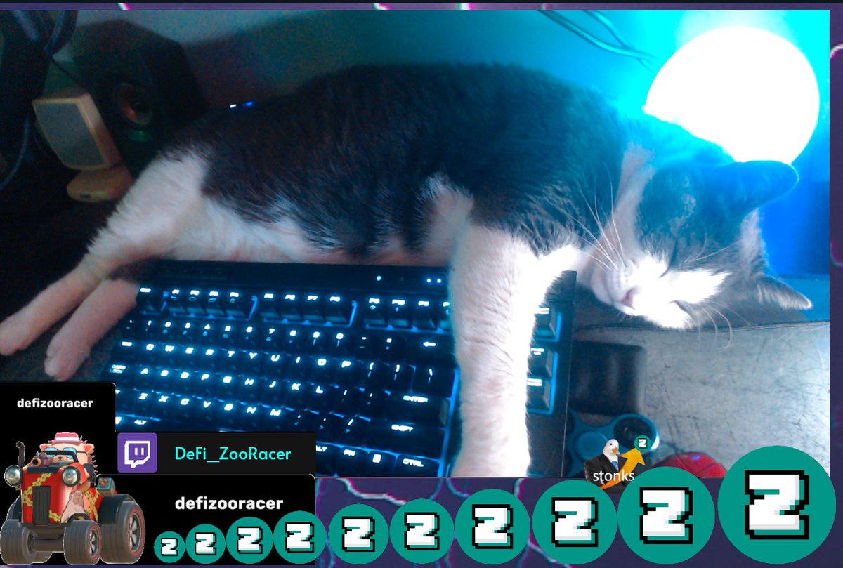 DeFiFUDDestroy's tweet photo. Fortnite, Catnaps n' Zero Builds
#TeamBubblesFamGG
multistreaming in 30 min
👉https://t.co/P8pZe9Ge8I
#twitch #youtube #Kick #ThetaTV #facebook #instagram #odysee #DLive #trovo #NimoTv #ThetaTV #OmletArcade #YouNow #NoNoLive #caffieneTV #VaughnLive #GlimeshTV #BigoLive https://t.co/7de0z6B9yU
