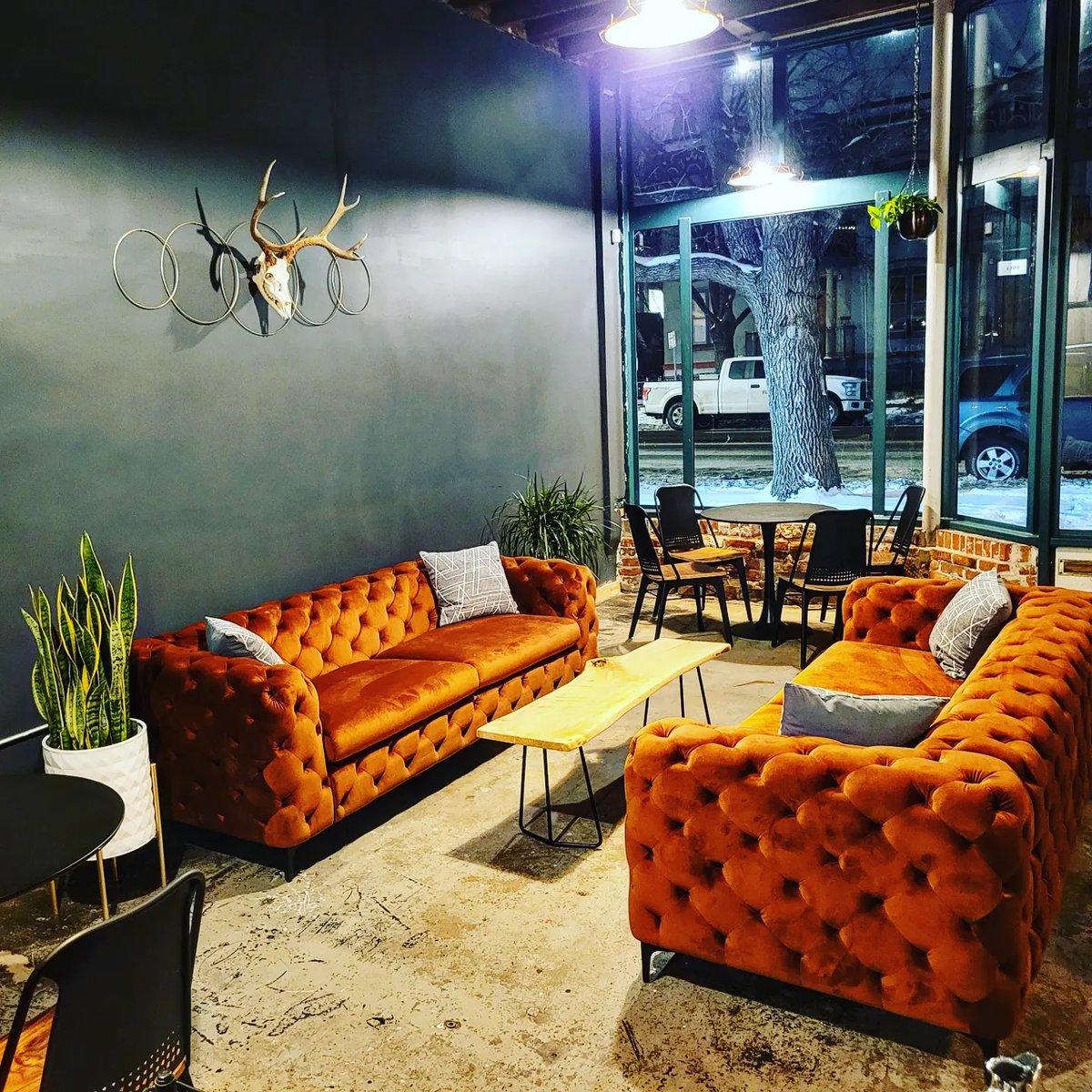 Alpine Dog Brewery tweet media