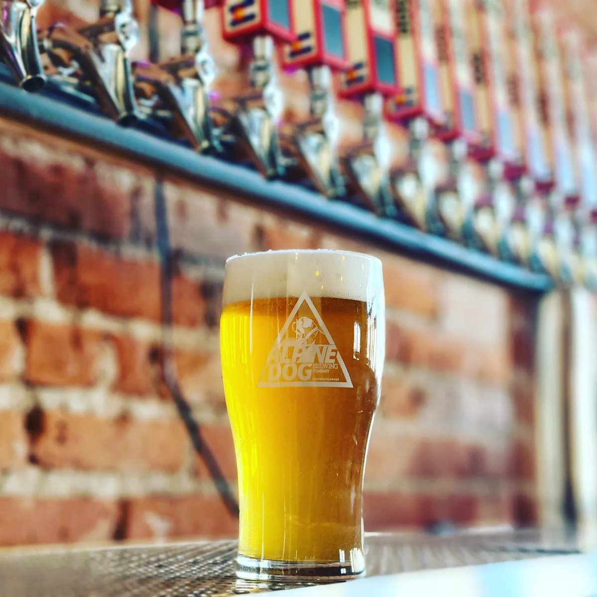 Alpine Dog Brewery tweet media