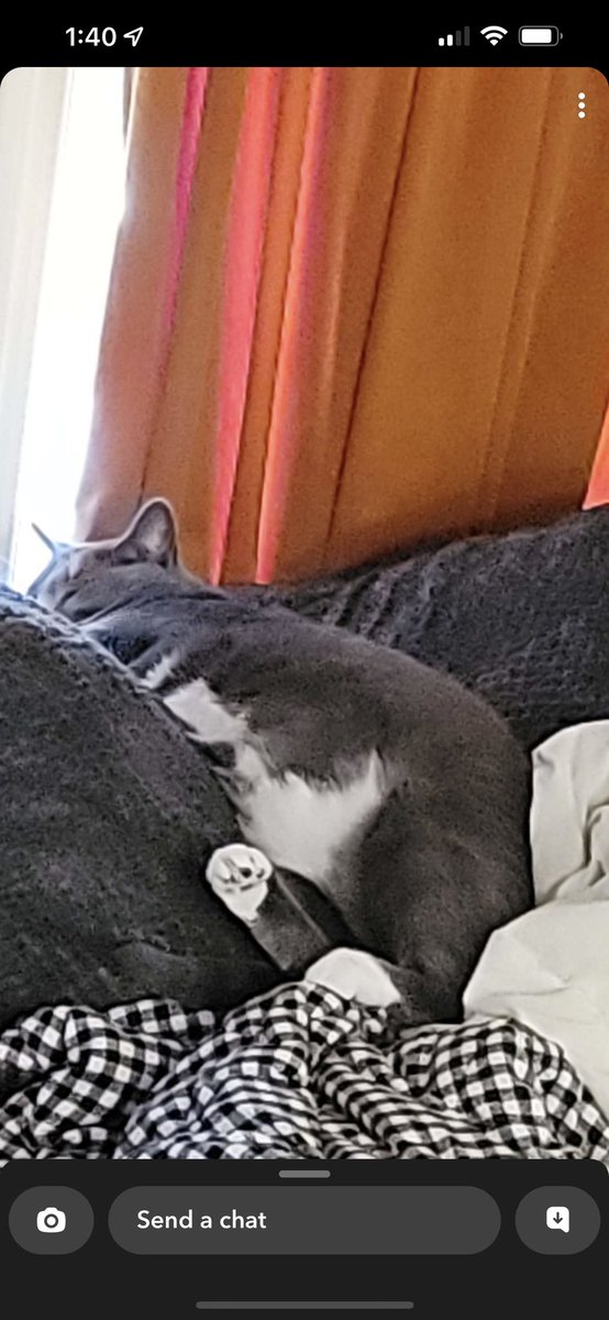 chandradobson's tweet photo. I don't even relax this hard and I pay her bills https://t.co/2Yh6S8j0r5