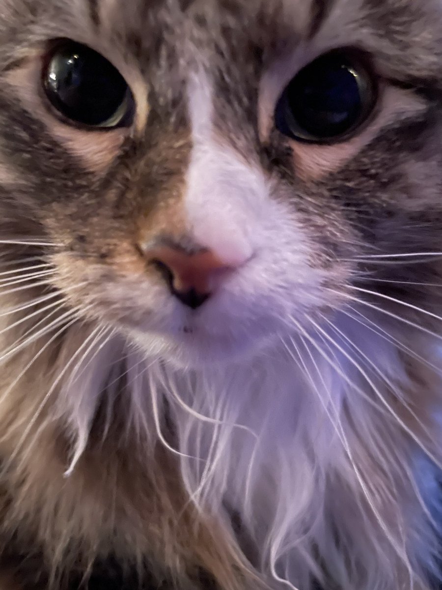 looks at you with my autisti c eyes