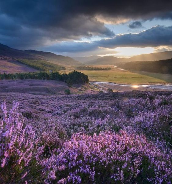 The beauty of the Cairngorms buff.ly/3WMEMGi #Scotland #photography #nature