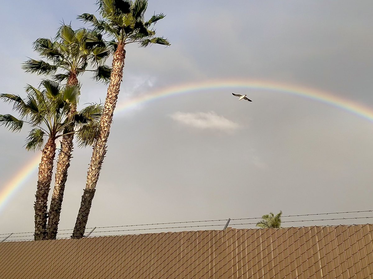 jasminecbs8's tweet image. Everyone in San Diego go outside rn