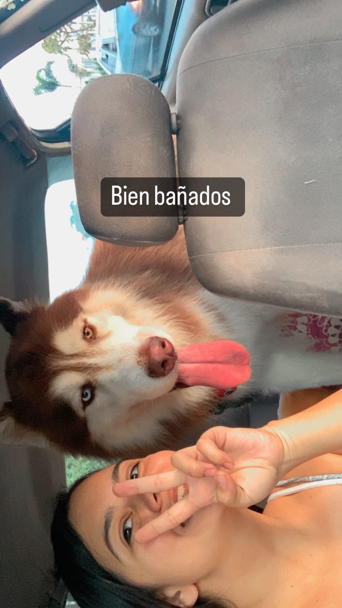 Hoy se cumplen 5 meses desde que mi bola de pelos se perdió 😔 Aún creo que puede regresar así que si alguien ve algo similar por favor contactarme 🥺