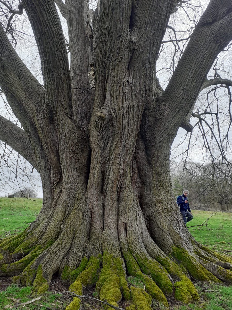 Dr S Goodspeed tweet media