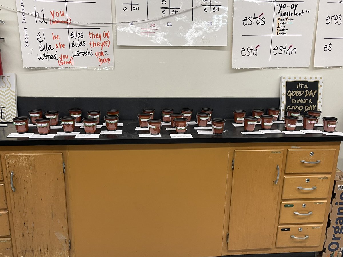 Day 1 of parts of the plants. Students named their plants w/ a Spanish name, then asked to explain why their plant was given that name. Seed were planted and watered. They will be keeping a journal of the growth of their plants for the next months @FoothillKnights <a href="/TUSDschools/">Tustin Unified</a>