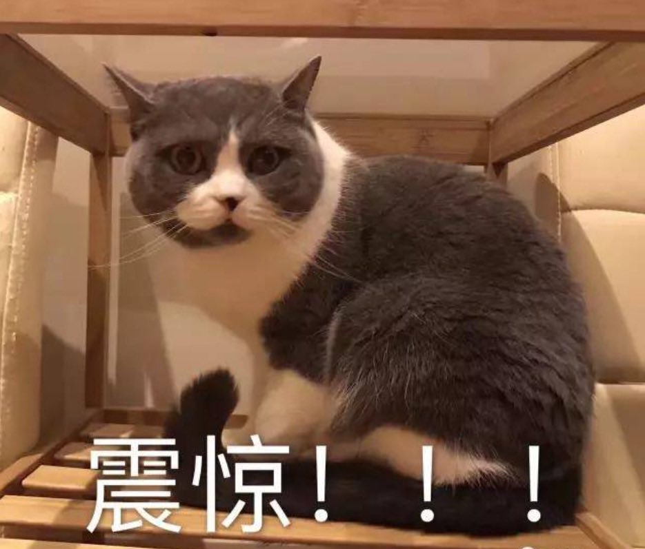 哈哈哈，昨天玩农牛，成就感、自信心爆棚。单男说，爽得他人都晕了！！！现在接受先被我农牛取，边控、龟责的，优先插队和嫂子玩！哈哈哈哈，爱了爱了！