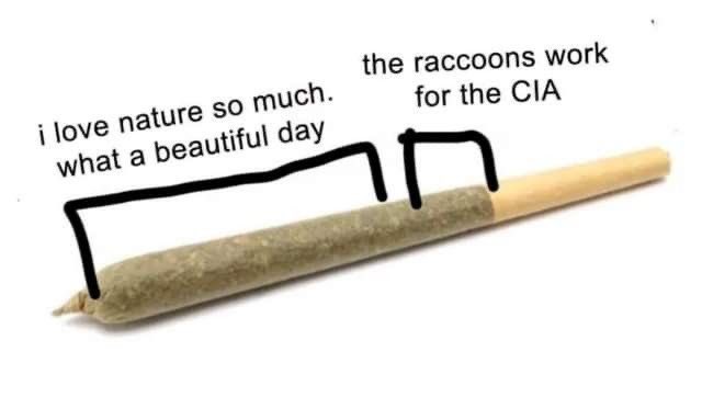 unapplogeticly's tweet image. #highthoughts #highlife #stonerchicks #StonerFam