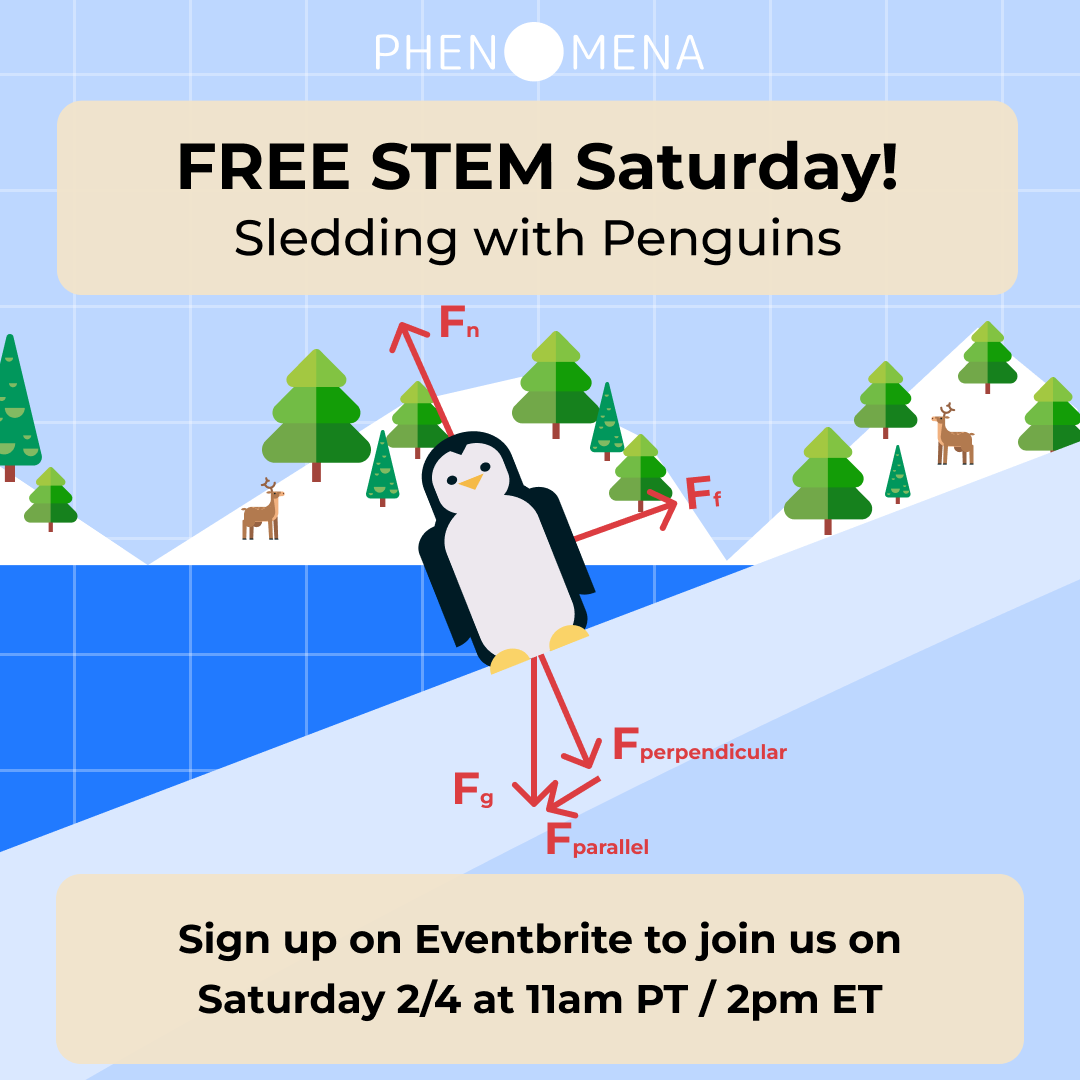 Phenomena tweet media