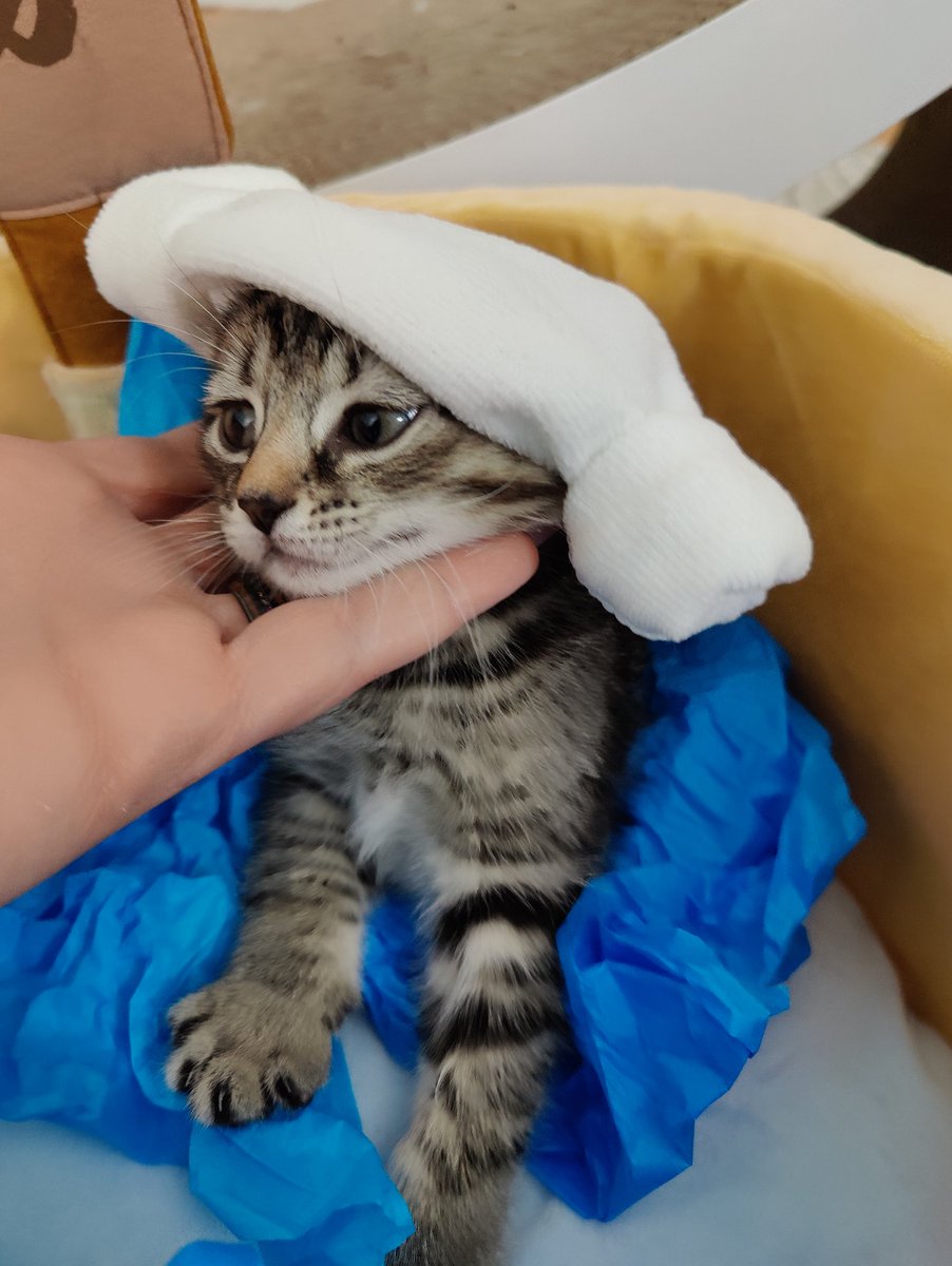 Splish splash I was taking a bath