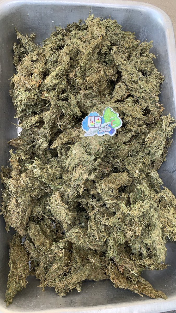Nut_tp24's tweet photo. 📌มีมาเท่าไหร่ก็หมด
☘️กรีนแครกคัดก้านแล้ว✅
10g 100 ส่ง+30
50g 350 ส่งฟรี✅
100g 700 ส่งฟรี✅
🛒 https://t.co/mxM4c7NcuG
#กัญชา #กัญชาอุดร #กรีนแครก 
#กัญชาออแกนิค #กัญชาราคาส่ง #กัญชาเสรี #กัญชาราคาถูก #อําเภอเพ็ญ #อุดรธานี https://t.co/12JivPA4Cn