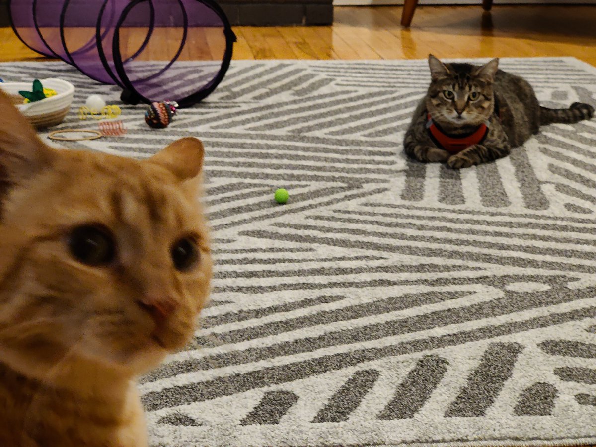 Hammocks are so relaxing... With bonus cinematic Loganberry moment