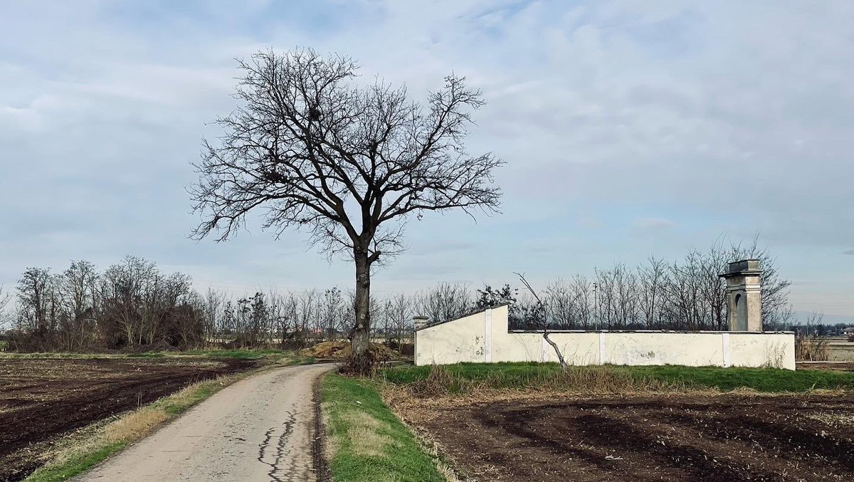 Un Luigi qualunque tweet media