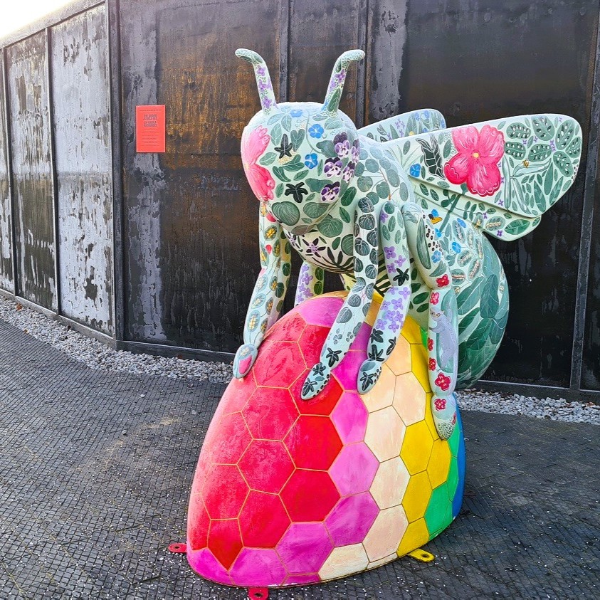 Giovy Malfiori tweet media