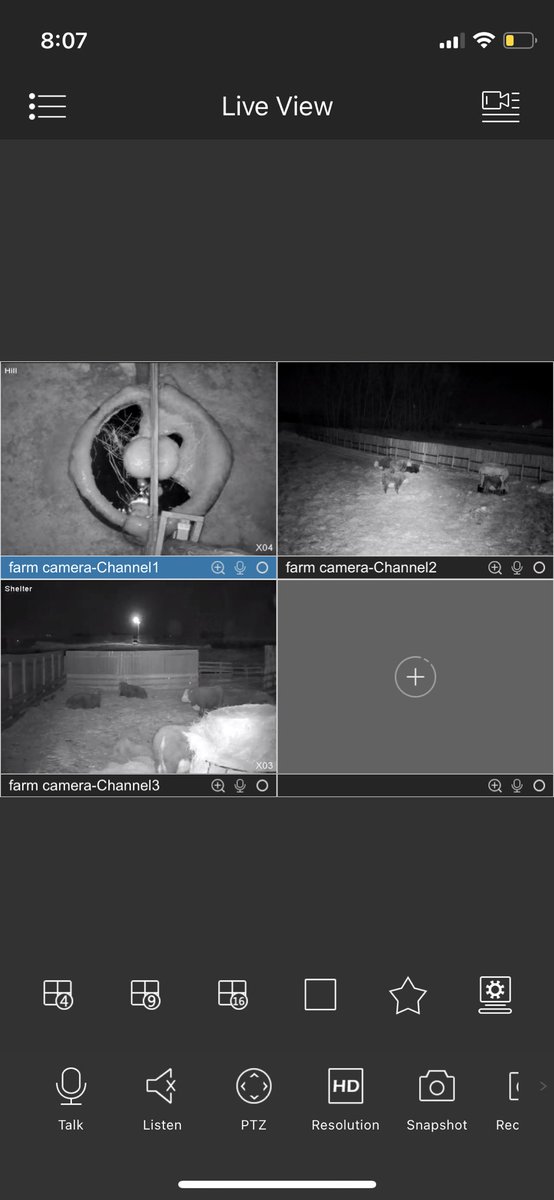 -26°C, feels like -36°C 
Who else is watching cow cams tonight for calvings and frozen water bowls? 🙋🏻‍♀️❄️🥶
#saskag #cdnag #agtwitter