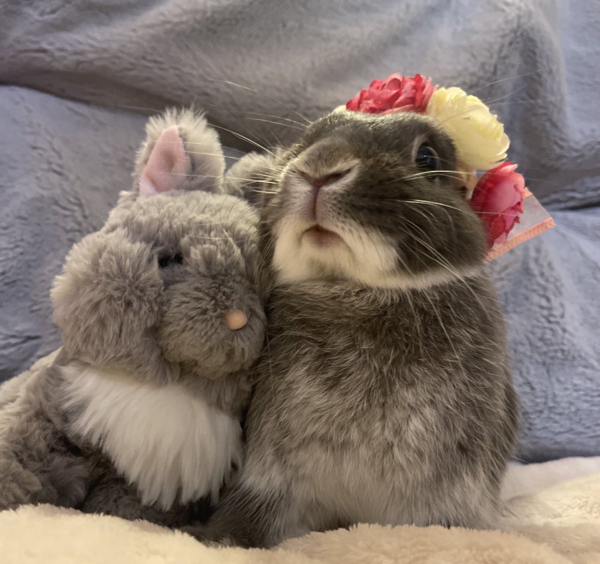 可愛いね〜₍ ᐢ. ̫ .ᐢ ₎₍ ᐢ. ̫ .ᐢ ₎💗