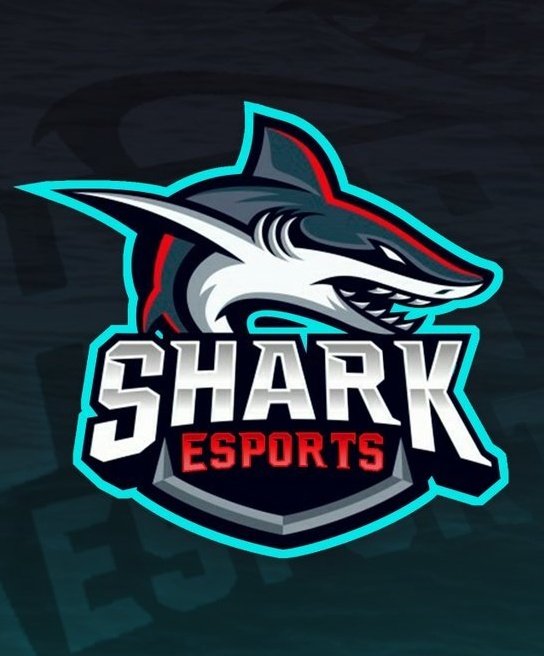 KiiraaGod's tweet photo. En @SharkEsports_GG estamos buscando 2 jugadores para SA

Se pide disponibilidad y compromiso

📩 Md Twitter o discord Kiraッ#5987

Se agradece RT♻️ y Like❤️ https://t.co/ZW76YOgf1q