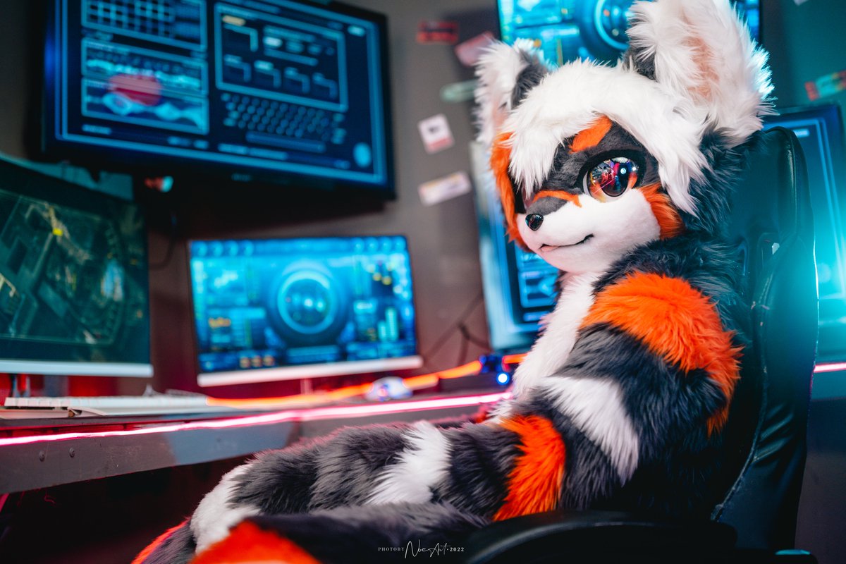 职业陪玩
专接单杀faker，apex单手上大师，用脚通关Minecraft
#FursuitEveryday
